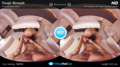 Reseña de Virtual Real Gay – VirtualRealGay.com